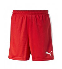 Puma Pitch Shorts With Innerbrief